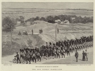The New Forest Manoeuvres